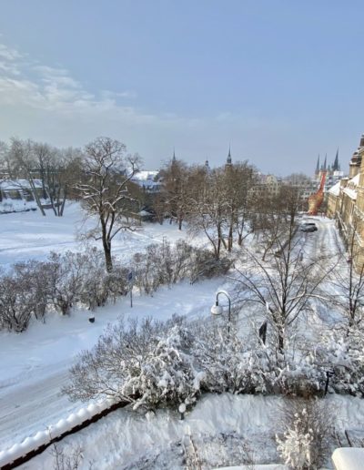 Standort Halle (Saale)